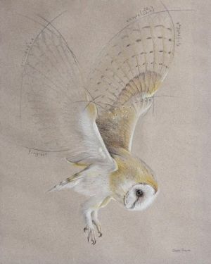 The Physics of Flight: Limited Edition Print